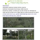 푸른산농원 이미지