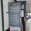 (봄맞이) 한입 요리 | 뚝섬역 맛집 찾다가 발견한 서울숲 맛집, 가족 모임으로 완벽했던 서울로인 후기