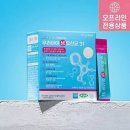 조은애견