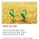 혜현윤공인중개사사무소 이미지