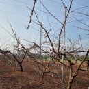 섬뜰농원 이미지