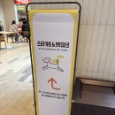 펫쿠키 | 수원 스타필드 강아지 놀이터 펫파크 후기 🐶🌳(ft. 쿠키와 함께한 스타가든)