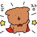 뮤즈결혼정보 이미지