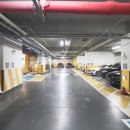 다인로얄팰리스배곧2차 이미지