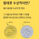 신나는 그림책 놀이(2기) | 2026 칼데콧 메달 수상작 불꽃놀이, 글보다 그림이 먼저 말을 거는 책 6세 유아여름그림책 추천