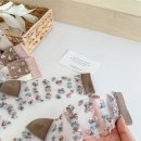 스프링 플라워 이미지