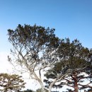 나드리목장 이미지