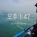 뉴해모수 | 인천제일바다낚시 우럭광어 오후체험 후기, 중학생 초등학생 배낚시 체험