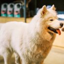 스마트카센타 이미지