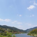 섬진강변 철쭉길 이미지