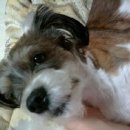 가양3동 이미지