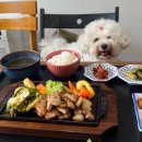 더 식탁((주)케이엠씨) | 강화도 애견동반 맛집 “농가의식탁” 샐러드바 한돈삼겹 내돈내산 솔직후기