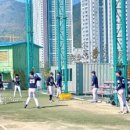 미음야구장 네이버블로그
