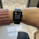 백암정순대국뼈해장국 | 2월 마무리 🕊