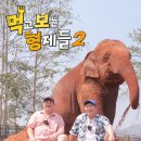 먹보 이미지