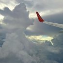 (주)특별한렌트카김포영업소 | 제주도 2박3일 힐링여행 / 롯데호텔 호캉스 예쁜 제주카페가기