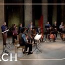 Bach - Die Kunst der Fuge BWV 1080 - Sato | Netherlands Bach Society 이미지