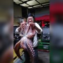 강릉 바다 공인중개사사무소 | 생각 현실 상상 호수 바다 문어 대왕 빨판 기적 여행...물고기 타우린 공인중개사 해독 작용 공부...