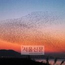 가족과 떠나는 철새 탐조여행 이미지