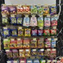 GS25 홍천비발디파크점 | 홍천 비발디파크 편의점 굿앤굿스 영업시간 및 먹거리 가격 총정리