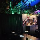 꽃보다소(합정점) | 홍대 칵테일바 이색데이트 술집 합정 주신당 방문 후기!