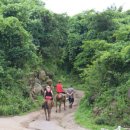 송당승마장 이미지