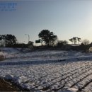 동진면사무소 이미지