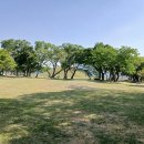 강대용 티스토리