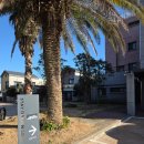 스테이다랑쉬 이미지