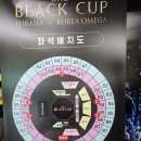 아레스존 | 부천체육관 블랙컴뱃 개쫄보의 격투기 관람 후기 대한민국 대 유라시아