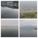 바다보고