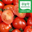 자연마을 - 세종특별자치시 | 자연마을
