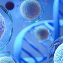 청우한방병원 이미지