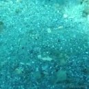 CNS메디칼 이미지