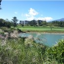 더클래식앤 이미지