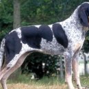 화이트 앤 블랙 이미지