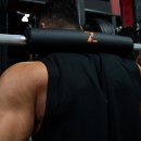 필라트니스 이미지