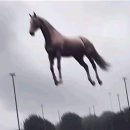 뉴 당구장 | hpy~~🎠🪽🎈