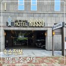 강릉 여행 숙소 가성비 호텔 추천 - 호텔 루소 (스탠다드 룸)
