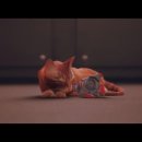 스트레이(STRAY)