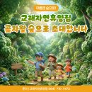 교래공간