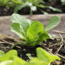 수만농장 이미지