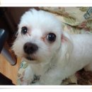 반포1동 이미지