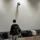 수원-0624 | 신혼여행 1일차 : 오클랜드 시내, Adina citylife auckland 숙소 후기, The occidental 예약, 데번포트