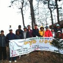 나무 206 이미지