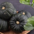 주식회사 팜2팜 이미지