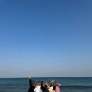 다래투 이미지