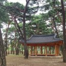 송림대중