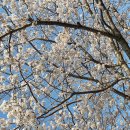 호근서호로 이미지