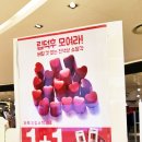 홀리카홀리카수원